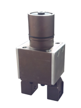 tong_head2 NO SFONDO