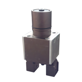 tong_head2 NO SFONDO